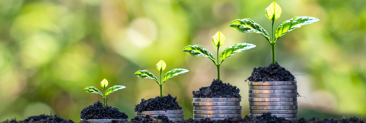 plant sprouts growing out of increasingly tall stacks of quarters