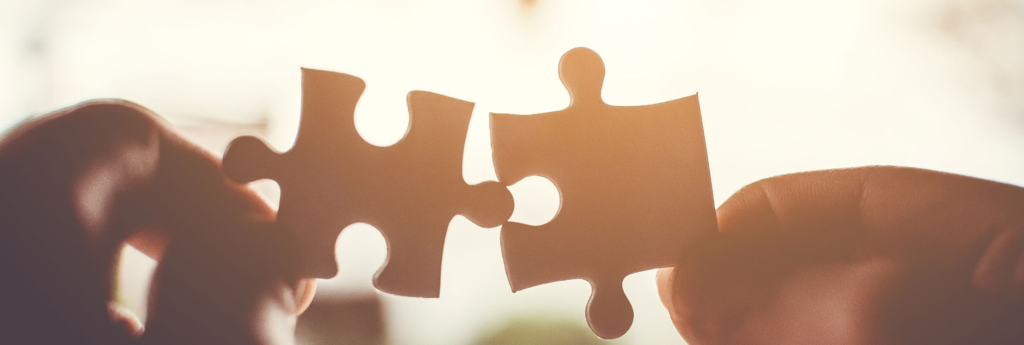 person holding puzzle pieces