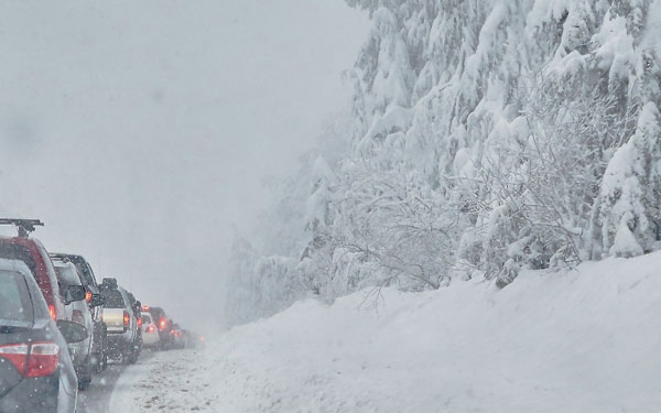 Vehicles stuck in traffic on a curve in the road beside a snowy forest